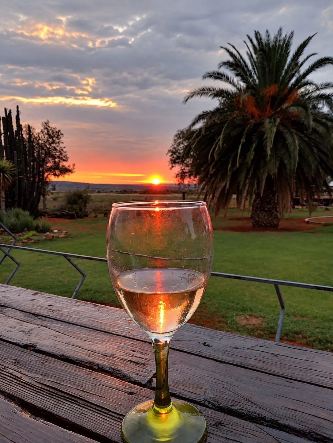 A glass of white wine on a wooden table in the garden at sunset, with a palm tree behind.